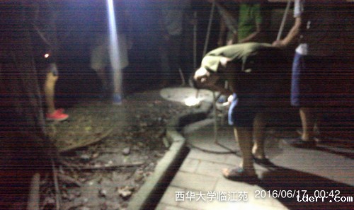 QQ截图20160617162611.jpg